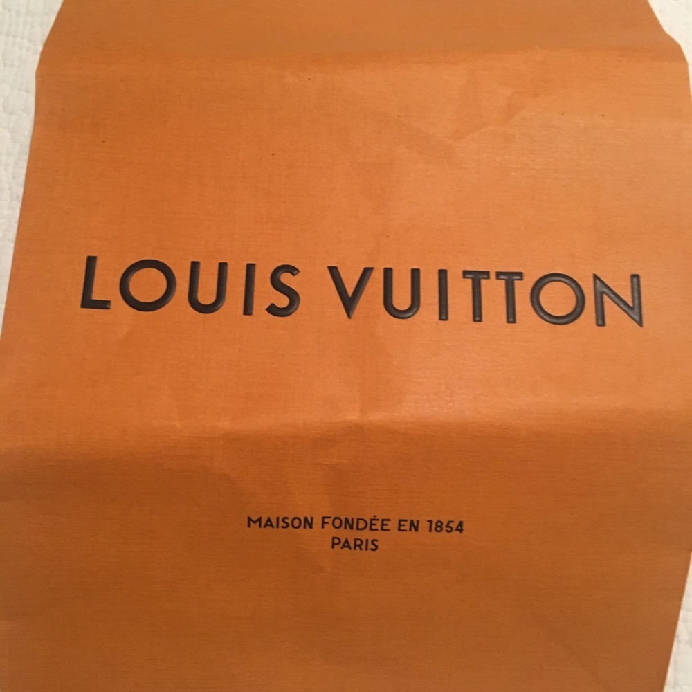 Empty Louis Vuitton Bag